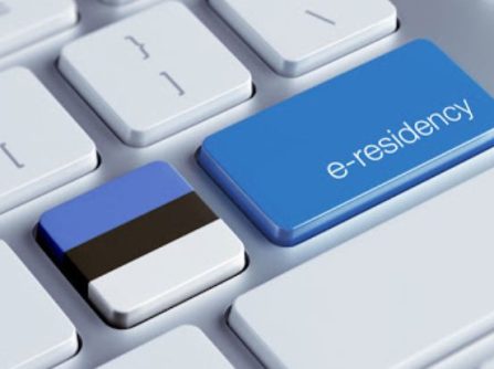 Parliament Supports Bill on Taxation of Business Activities of Electronic Residents